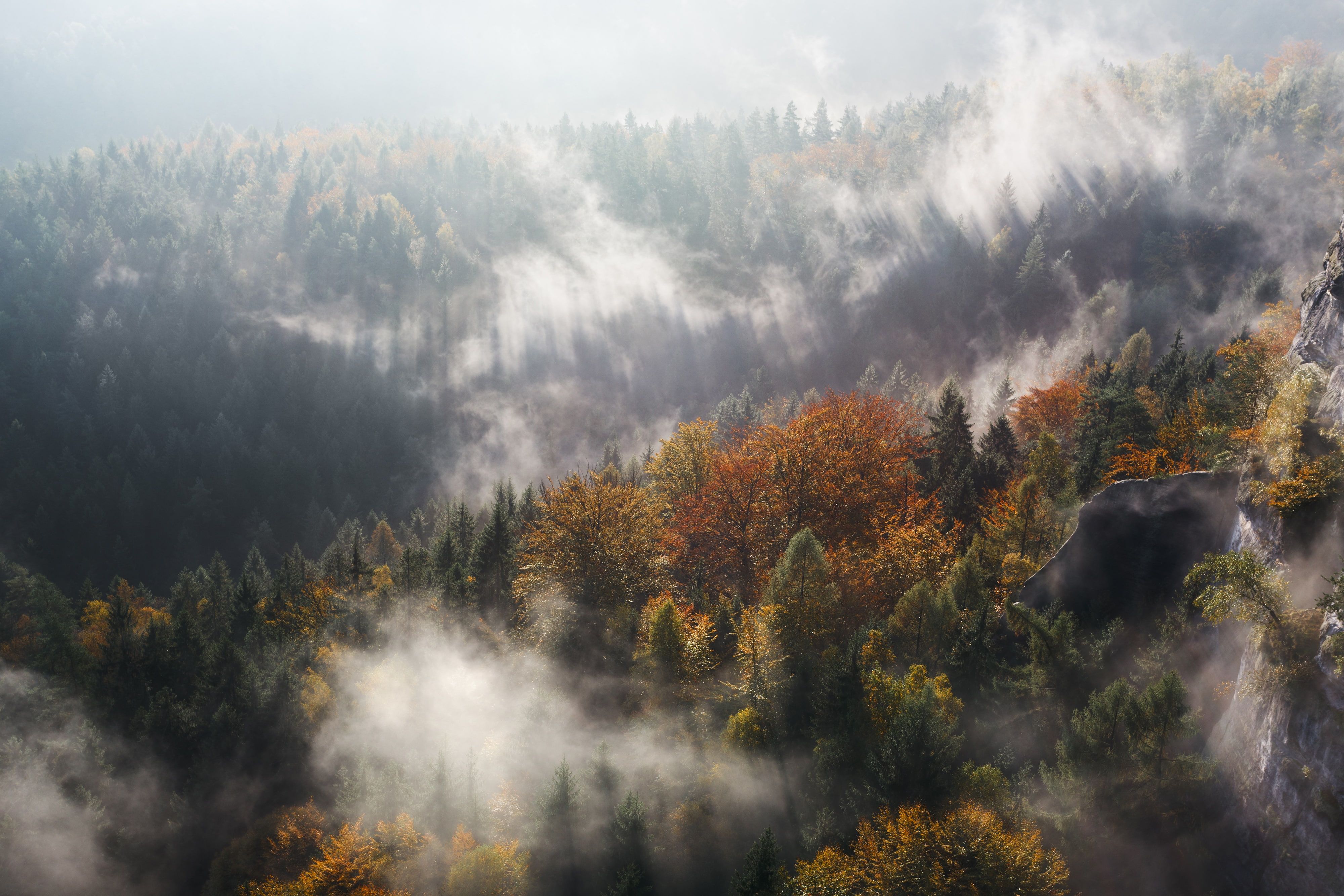 Aerial view of a misty autumn forest with golden sunlight filtering through fog between colorful orange and green trees
